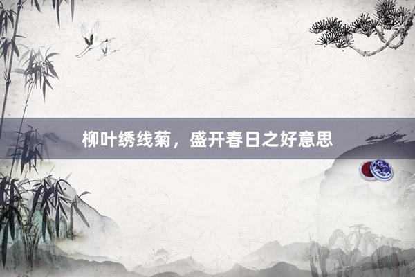 柳叶绣线菊，盛开春日之好意思